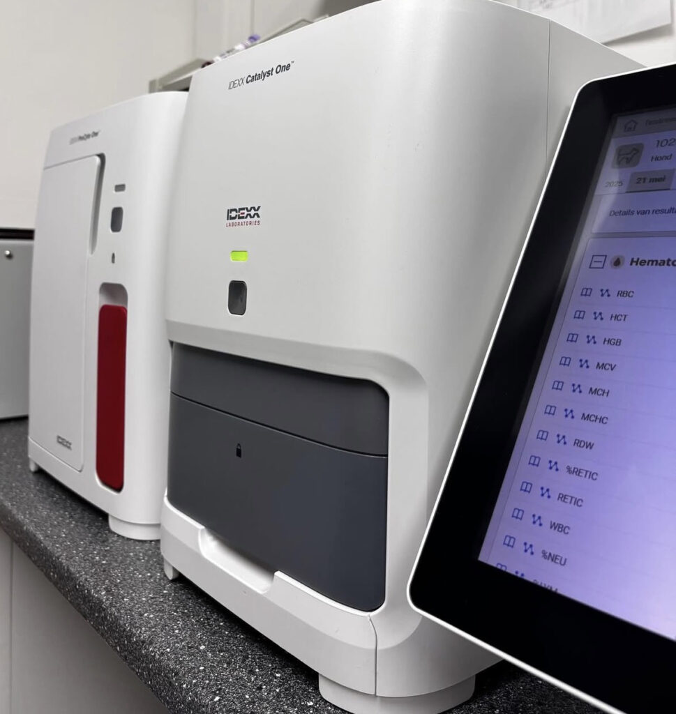 Bloedonderzoek IDEXX Catalyst