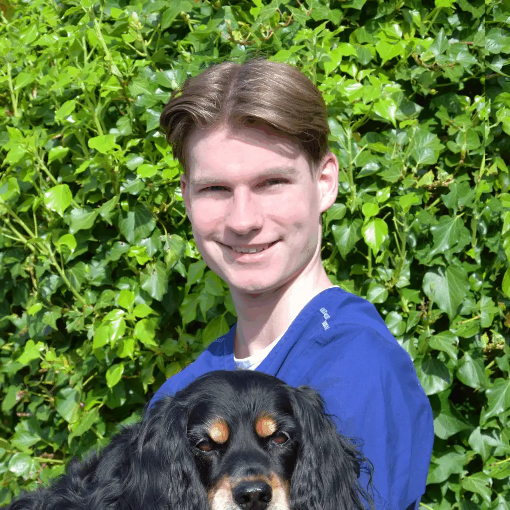 Aron Lommers Paraveterinair