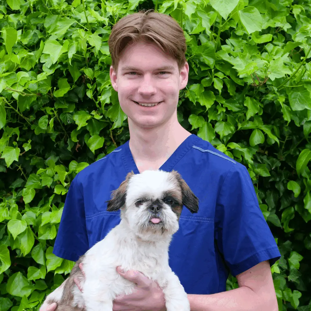 Aron Lommers paraveterinair