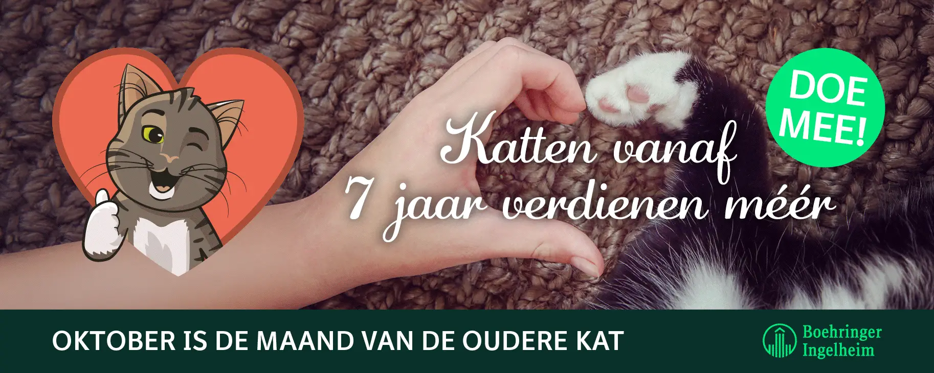Maand van de oudere kat